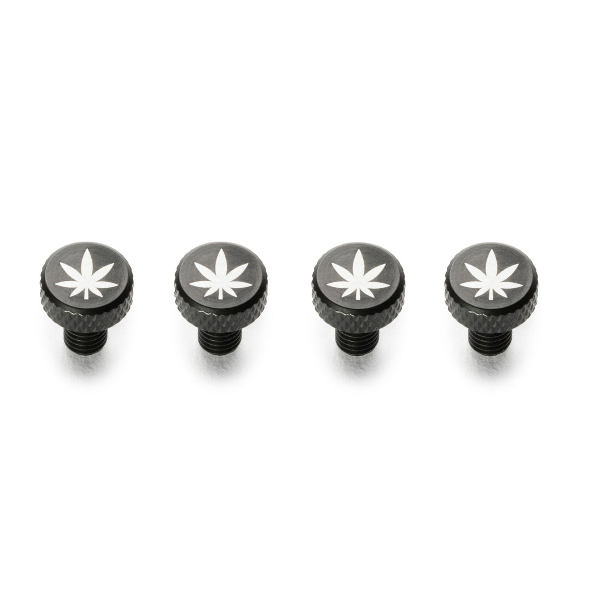 Zit Bitz Frame Bolts