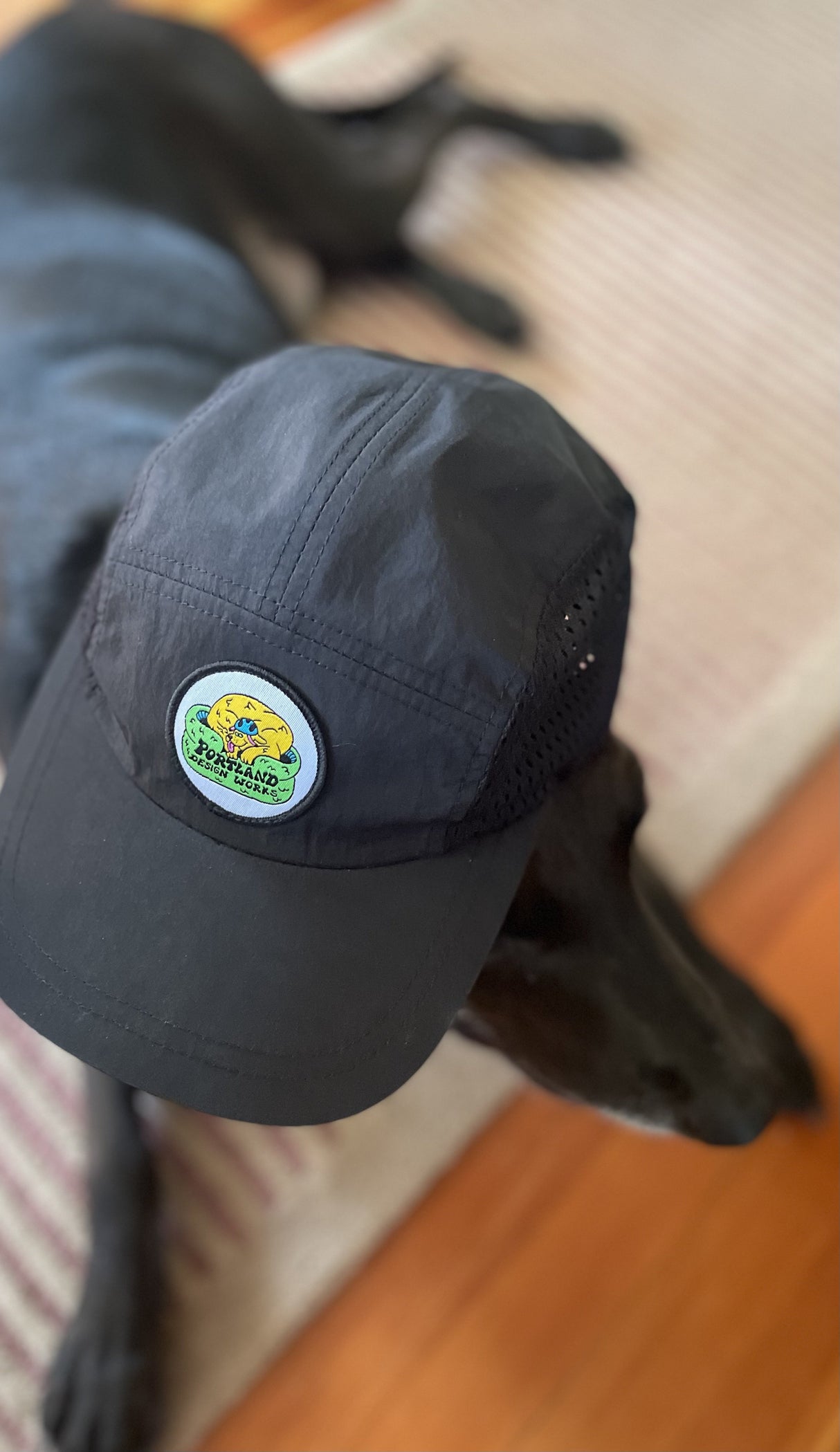 PDW X Dreyfus Cap