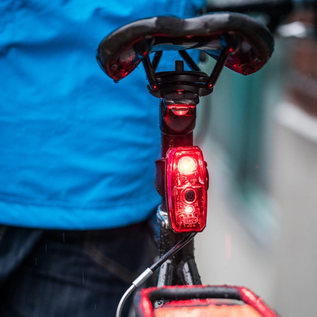 Daybot USB Tail Light