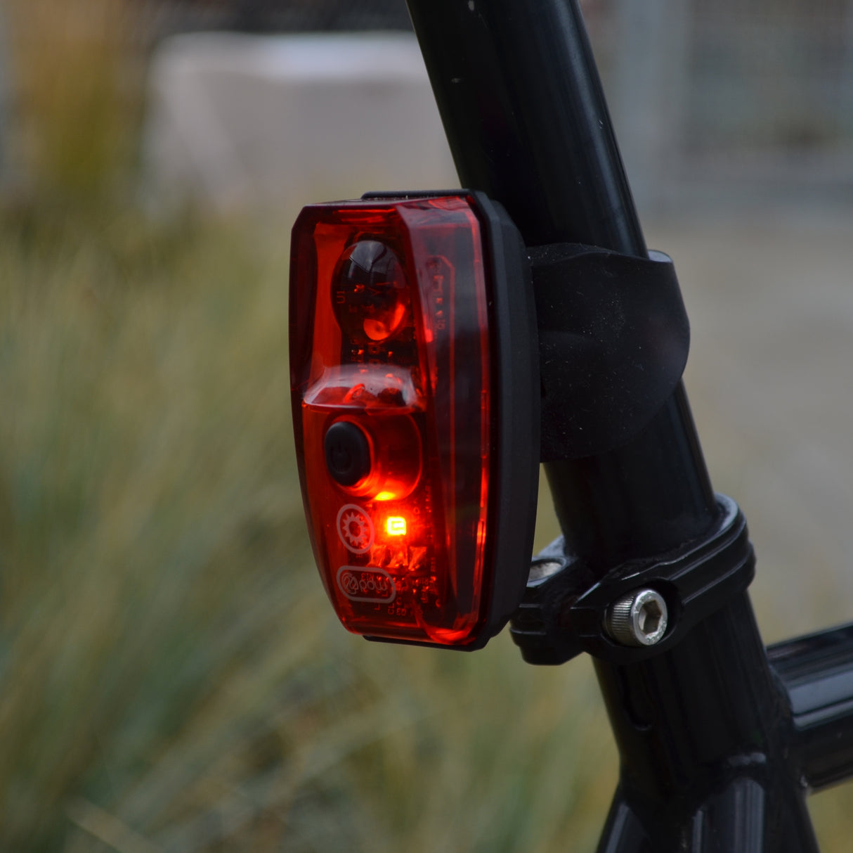 Daybot USB Tail Light