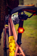 Blinking of You Tail Light