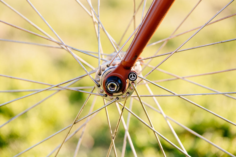 Zit Bitz Frame Bolts